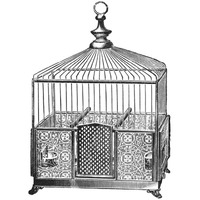 Etchings: Birdcage - Pyramidal top, patterned base.-Paper Art-42"x42"