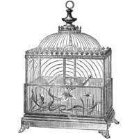 Etchings: Birdcage - Dome top, floral base, filigree detail.-Paper Art-20"x20"