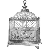 Etchings: Birdcage - Dome top, floral base, filigree detail.-Paper Art-32"x32"