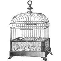 Etchings: Birdcage - Gable top, filigree base.-Paper Art-32"x32"