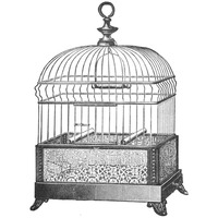 Etchings: Birdcage - Gable top, filigree base.-Paper Art-38"x38"