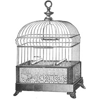 Etchings: Birdcage - Gable top, filigree base.-Paper Art-42"x42"