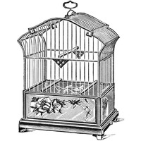 Etchings Birdcage - Gable top, rose base.-Paper Art-38&quotx38"