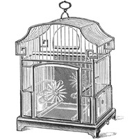 Etchings: Birdcage - Gable top, daisy base.-Paper Art-20"x20"