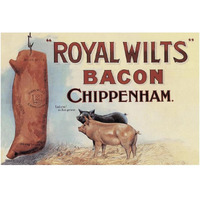 Pigs and Pork: Royal Wilts Bacon-Paper Art-20"x14"