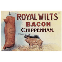 Pigs and Pork: Royal Wilts Bacon-Paper Art-32"x22"