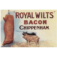 Pigs and Pork: Royal Wilts Bacon-Paper Art-38"x26"