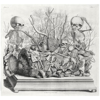 Diorama of fetal skeletons arranged with various internal organs-Paper Art-18"x17"