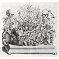 Diorama of fetal skeletons arranged with various internal organs-Paper Art-32"x30"