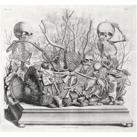 Diorama of fetal skeletons arranged with various internal organs-Paper Art-38"x35"