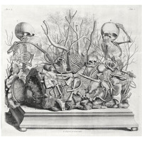 Diorama of fetal skeletons arranged with various internal organs-Paper Art-42"x39"