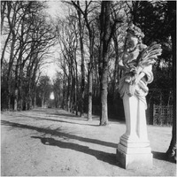 France, 1920 - The Park, Versailles-Paper Art-24"x24"