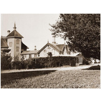 Residence of Mr. Howard, San Mateo, California, with Olive Tree, 1863-1880-Paper Art-26"x20"