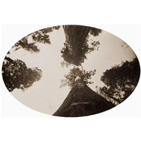 Among the Treetops, Calaveras Grove, California, 1878-Paper Art-24"x17"