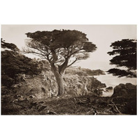 Cypress Point, Monterey, California, about 1880s-Paper Art-26"x18"