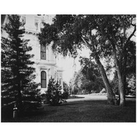 Thurlow Lodge - Lawn and House. From Barron Cluster. Black and white.-Paper Art-26"x22"