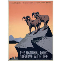 The National Parks Preserve Wild Life, ca. 1936-1939-Paper Art-14"x18"