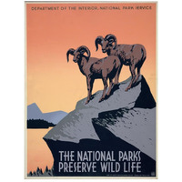 The National Parks Preserve Wild Life, ca. 1936-1939-Paper Art-20"x26"