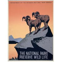 The National Parks Preserve Wild Life, ca. 1936-1939-Paper Art-38"x50"