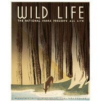 Wild Life; The National Parks Preserve All Life, ca. 1936-1940-Paper Art-18"x22"