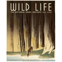 Wild Life; The National Parks Preserve All Life, ca. 1936-1940-Paper Art-24"x30"