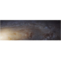 Hubble M31 PHAT Mosaic - Andromeda Panorama-Paper Art-56&quotx20"