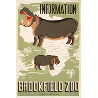 Information - Brookfield Zoo - Hippos-Paper Art-14"x20"