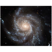 Messier 101 (M101)-Paper Art-42"x32"