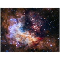 Westerlund 2 and Gum 29 Cluster and Star Forming Region-Paper Art-26&quotx20"