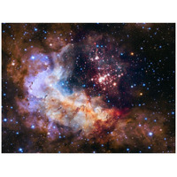 Westerlund 2 and Gum 29 Cluster and Star Forming Region-Paper Art-42&quotx32"