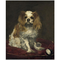 A King Charles Spaniel-Paper Art-22"x26"