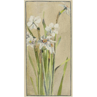 White Narcissus with Gray Accents-Paper Art-32"x62"