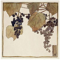 Frost Grape-Paper Art-26"x26"