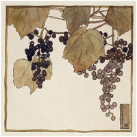 Frost Grape-Paper Art-32"x32"