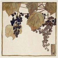 Frost Grape-Paper Art-38"x38"