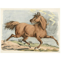 Brown Horse Running, 1817-Paper Art-26"x20"