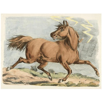 Brown Horse Running, 1817-Paper Art-34"x26"