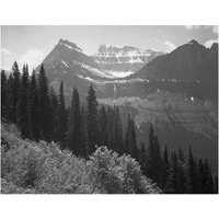 Trees, Bushes and Mountains, Glacier National Park, Montana - National Parks and Monuments, 1941-Paper Art-24"x19"