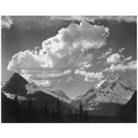 Trees in Glacier National Park, Montana - National Parks and Monuments, 1941-Paper Art-18"x15"