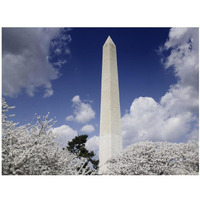 Washington Monument and cherry trees, Washington, D.C.-Paper Art-18"x14"