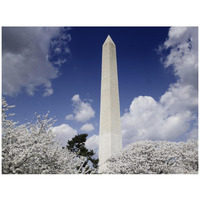 Washington Monument and cherry trees, Washington, D.C.-Paper Art-42"x32"