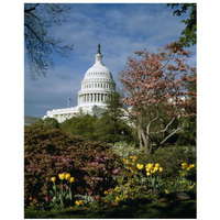 U.S. Capitol, Washington, D.C. Number 3-Paper Art-18"x22"