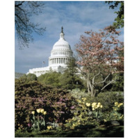 U.S. Capitol, Washington, D.C. Number 3 - Vintage Style Photo Tint Variant-Paper Art-22"x26"