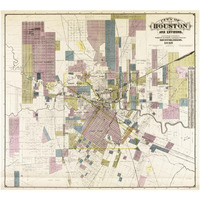 City of Houston and environs, 1895-Paper Art-38"x34"