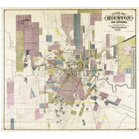 City of Houston and environs, 1895-Paper Art-42"x38"