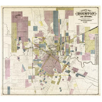 City of Houston and environs, 1895-Paper Art-46"x42"