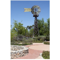 Windmill in the Will Looney Legacy Park at the Museum of South Texas History in Edinburg, TX-Paper Art-18"x26"