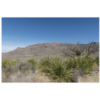 Scenery in Big Bend National Park, TX-Paper Art-32"x22"