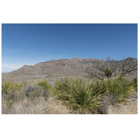 Scenery in Big Bend National Park, TX-Paper Art-38"x26"