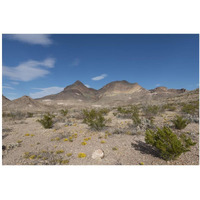 Scenery in Big Bend National Park, TX-Paper Art-20"x14"